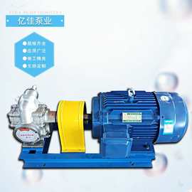 不锈钢齿轮泵 不锈钢齿轮油泵化工泵立式油泵不锈钢齿轮泵