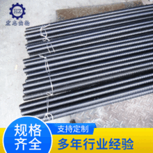 �F؛����T���ݗU �����ݗU 45����νz�U�ǘ� ���N�ݗU