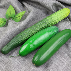 Simulation cucumber, green cucumber, gourd vegetable model teaching supplies office shooting toy props decoration wholesale