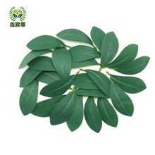 ������N�~�ϙ��~�zӡ���~�� ���l�G�~���Ʒ���