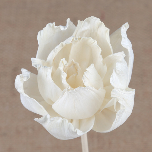 Tongcao Flowers, Scented Oil-Absorbing Floral Picks, Aromatic Dried Flowers, Artificial Peony Flowers, Home Decorative Dried Plant Arrangements
