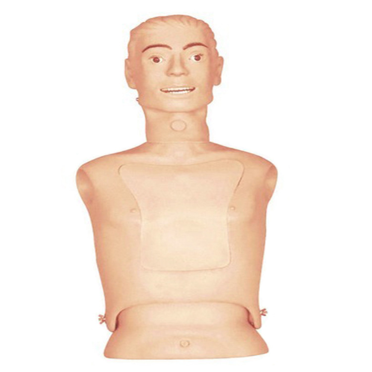 鼻胃管与气管护理模型