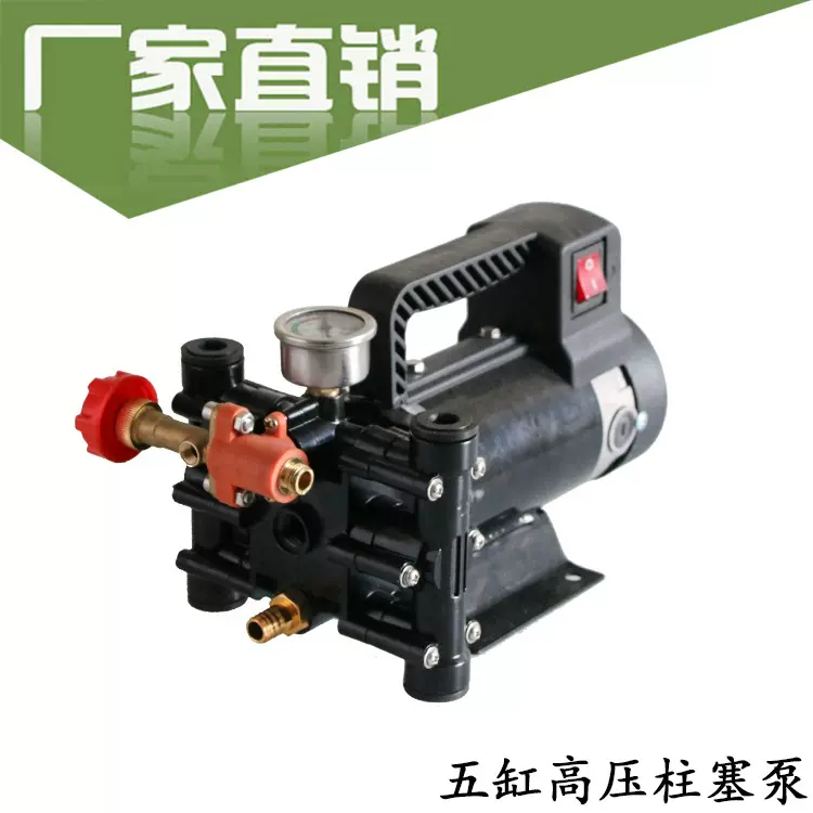 直流双缸柱塞泵 电动车农用果树高压喷雾器 打药机高压农用 新式