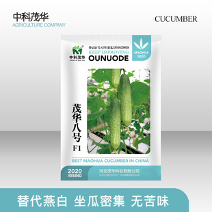 �п�ï�A�S�ϷN��ï�A��̖�s������S�ϷN�ӟo��ζ���������׷Nֲ