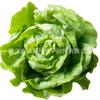 The company wholesale four seasons of vegetables and flower seeds more than 200 products supply chain of vegetables and flowers seeds