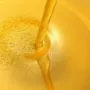 帅克蒸汽动物宠物脂肪油