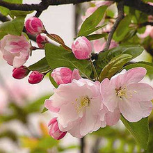 �������ģ�Ҏ���Rȫ�����󃞻�