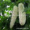 The company wholesale four seasons of vegetables and flower seeds more than 200 products supply chain of vegetables and flowers seeds