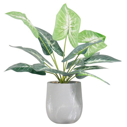Nordic style simulated pothos plant bonsai, simulated flower ornaments, turtle leaf potted plants, desktop fake flower decorations