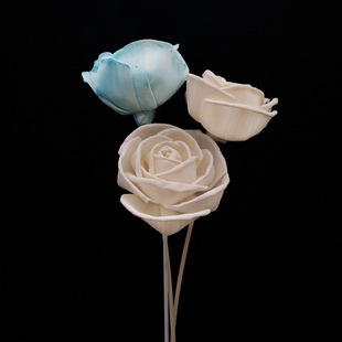 �F؛���l|8cm�o����޹õ���������ֹ��U�㻨�Ҿ��b�õ����޹