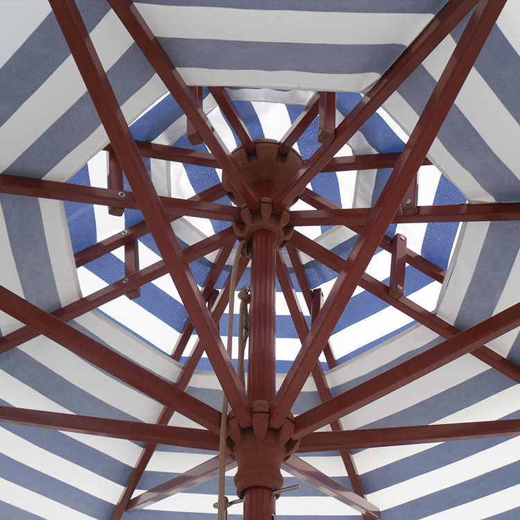 2.7˫ɡ38mmϽɡ¶Ӫ̯ͥԺɡ 