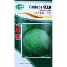 ���}���G���{�N������߮a�������˾��Ĳ˴��＾Խ���߲˷N����