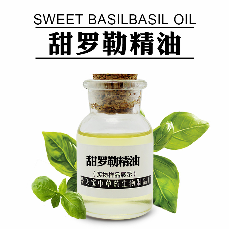 甜罗勒精油 蒸馏提取罗勒油 Sweet Basil Oil 天然罗勒单方精油