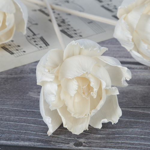 Tongcao Flowers, Scented Oil-Absorbing Floral Picks, Aromatic Dried Flowers, Artificial Peony Flowers, Home Decorative Dried Plant Arrangements