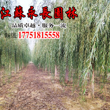 ���l���������ļ�����G����ľ�е��c�Y�����h��Ҏ���Rȫ��������