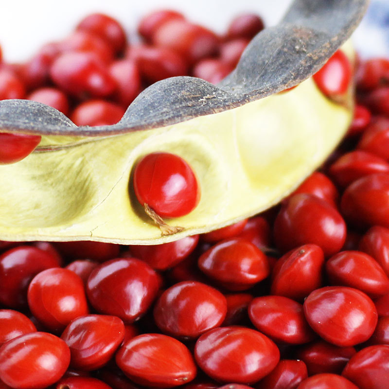 Tanabata gift couple Acacia beans loose beads DIY beads jewelry accessories red heart Bodhi life year red beans wholesale