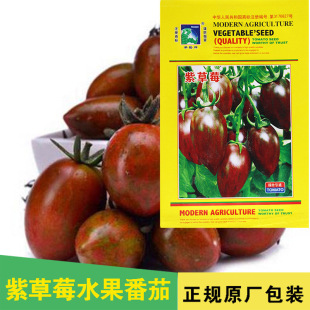 С���ѷN�ӷ������}Ů���N���ϲ�ݮˮ�����ѷN���߲˷N�Ӳ˷N����