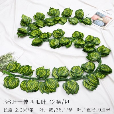 36 piezas de hojas de sandía 1 paquete (12 piezas)