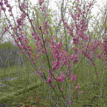 �������G