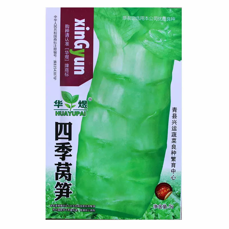 四季莴笋种子 农田菜园基地莴苣尖叶青绿皮香莴笋蔬菜籽批发