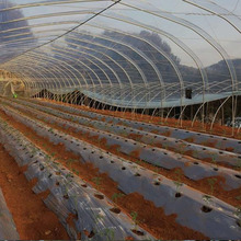 rôĤPO߲ĤҲݮܟoĤϲĤBֳڰĤ