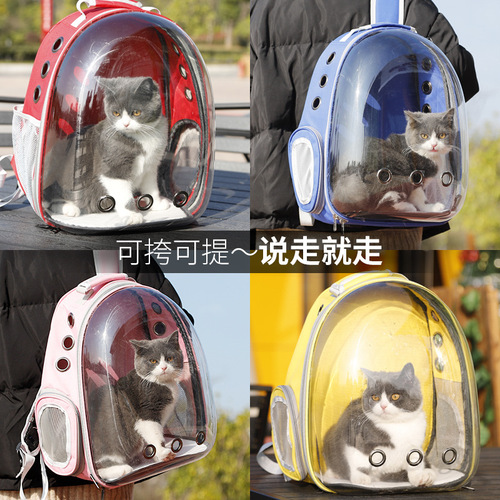 P manufacturer wholesale Havo internet celebrity panoramic transparent space cat bag cat and dog space bag backpack pet backpack