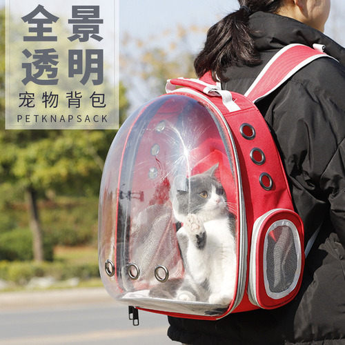 P manufacturer wholesale Havo internet celebrity panoramic transparent space cat bag cat and dog space bag backpack pet backpack