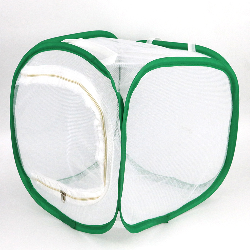 折叠昆虫笼防虫网蝴蝶笼 透光昆虫饲养箱观察笼植物培育暖房温室