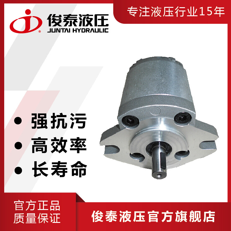 俊泰 JUNTAI HGP-1A 体积小 高效率 矿山机械用高压液压齿轮泵
