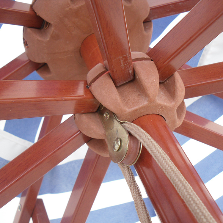 2.7˫ɡ38mmϽɡ¶Ӫ̯ͥԺɡ 