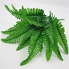 10 large simulation Persian grass small Persian leaf simulation flower fern leaf simulation plant wall with wedding decoration