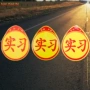实习强磁反光新手车贴