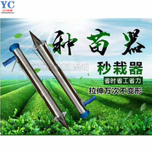 不锈钢移栽器 辣椒移栽机 烟苗蔬菜苗药材种植机 手提式种苗器