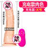 Funala women use wireless tongue to lick the simulation penis to warm the charging vibration vibration, telescopic masturbation masturbation adult interest