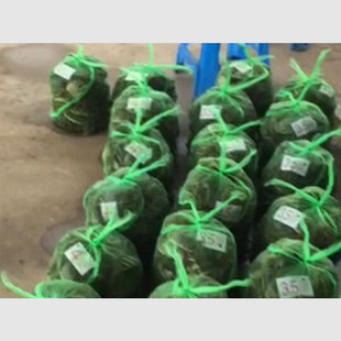 �з�W��12-13��з������W�������а��b��