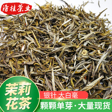 自产自销现货茉莉花茶小茶王浓香型新品茶王银针500g茉莉绿茶批发