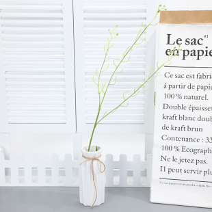 ���滨3�������m����ֲ��z��ˮ�����DIY��Ʒ�������b[��