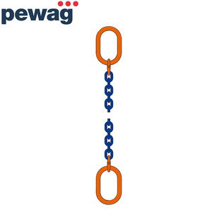 ���߿ˣ�pewag��100�����ȵ��������ص�����I AW-E connex