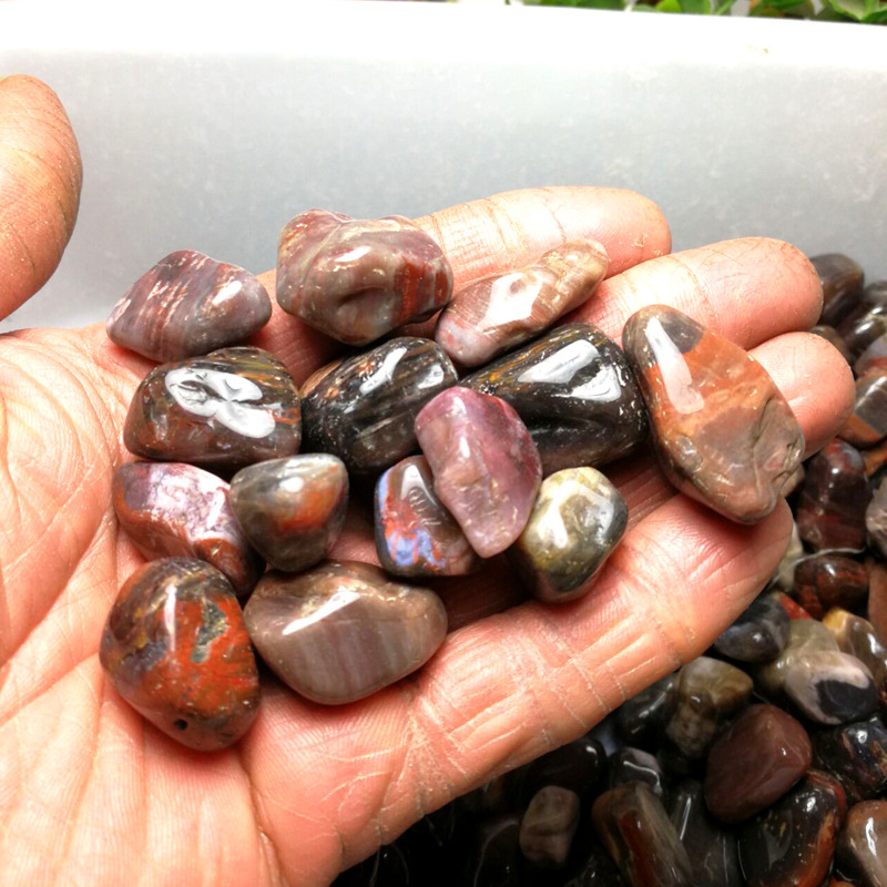 100克价木化石碎石树化玉 硅化木鱼缸盆景石