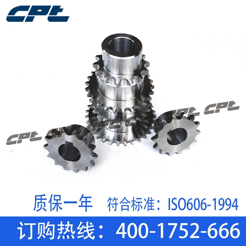 CPT 欧标3分链轮06B单排工艺孔31齿至95齿45钢链轮 厂家直销