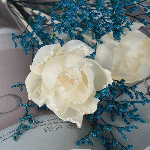 Tongcao Flowers, Scented Oil-Absorbing Floral Picks, Aromatic Dried Flowers, Artificial Peony Flowers, Home Decorative Dried Plant Arrangements