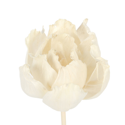 Tongcao Flowers, Scented Oil-Absorbing Floral Picks, Aromatic Dried Flowers, Artificial Peony Flowers, Home Decorative Dried Plant Arrangements