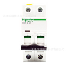 ��������iC65N 2P C40AС�Ͷ�·������A9F18240
