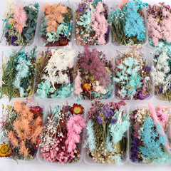 New handmade DIY dried flower photo frame making material package natural eternal flowers Valentine's Day gift bouquet wholesale