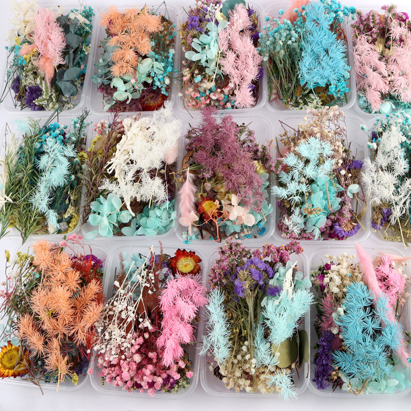Preserved Dried Flowers Handmade DIY Photo Frame Mix and Match Decorative Aromatherapy Materials Natural Flowers Wedding Valentine's Day Gift Bouquet Preserved Dried Flowers Handmade DIY Photo Frame Mix and Match Decorative Aromatherapy Materials Natural Flowers Wedding Valentine's Day Gift Bouquet