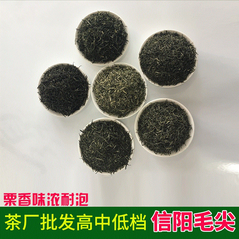 毛尖茶叶批发 雨芽峰信阳毛尖浉河港产地绿茶 茶农自产自销500克