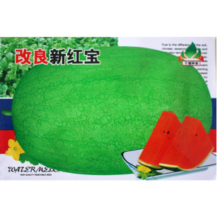 ���ϷN�����������ϷN���߲˷N�����l�˷N�ӹ�˾�˷N����