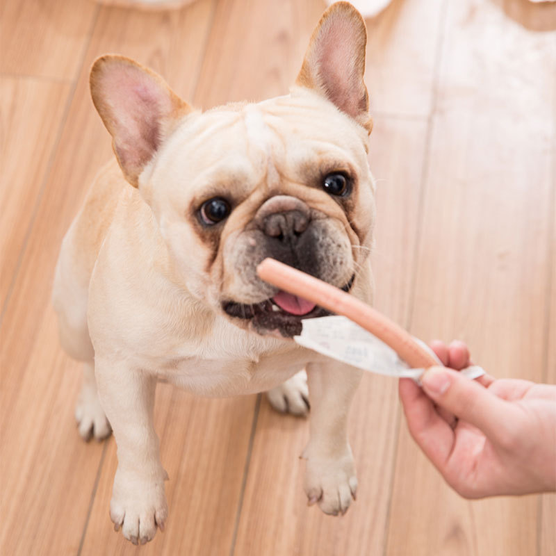 Perro bocadillos salchichas de jamón 90g Teddy oro entrenamiento recompensa mascota salchichas regalo paquete de alimentos en stock al por mayor