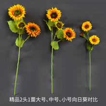 �������տ���֦��̫ꖻ����l�͏d�����b�����b߿���������