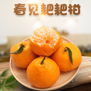 [E -Commerce Fruit] Sichuan Spring -Seee -Seeaing Grable Citrus 2/8 фунтов свежего апельсинового взрыва сладкий сочный уродливый апельсин должен быть сезонным фруктом